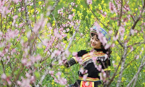 Fansipan: Trẩy hội khèn hoa, ngắm hoa đào quý