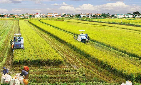 Chính sách pháp luật đất đai ( Bài 2): những vấn đề lớn đang tồn tại