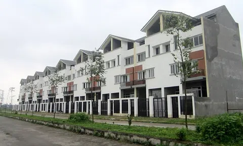 Thủ tướng Chính phủ chỉ đạo kiểm tra, xử lý 2.000 ha đất bỏ hoang tại huyện Mê Linh