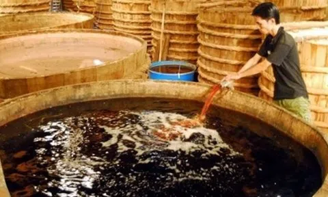 Dự thảo quy phạm thực hành sản xuất nước mắm: "Đánh tráo khái niệm"