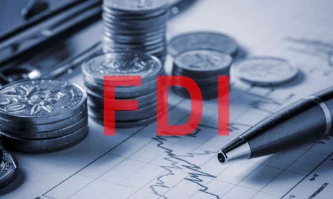 2019: Nên dành nguồn lực thanh tra, kiểm toán doanh nghiệp FDI và hoạt động quản lý đất công