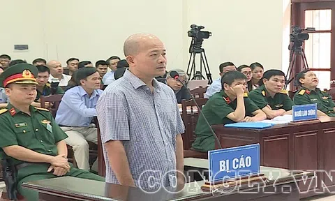 Công ty của Út trọc bị điều tra dấu hiệu trốn thuế, giả mạo hồ sơ tài chính
