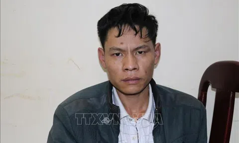 Vì Văn Toán là kẻ chủ mưu vụ nữ sinh giao gà bị sát hại ở Điện Biên