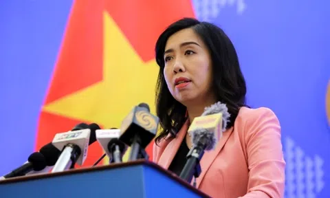 Việt Nam tuyên phạt và thi hành án tử hình phù hợp với Công ước về Quyền Dân sự, Chính trị