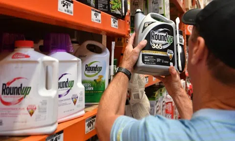 Thủ tướng chỉ đạo về thông tin Tòa án liên bang ở San Francisco kết luận thuốc diệt cỏ của Monsanto gây ung thư