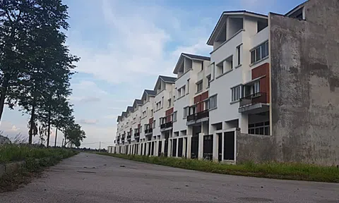 2.000 ha đất Mê Linh bị bỏ hoang: Thủ tướng chỉ đạo lần thứ hai