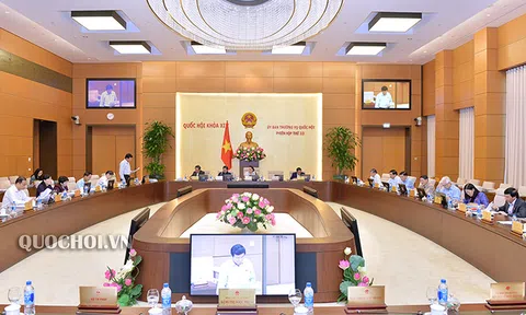 Đề xuất Quốc hội giám sát tình hình vi phạm pháp luật và tội phạm xâm hại trẻ em