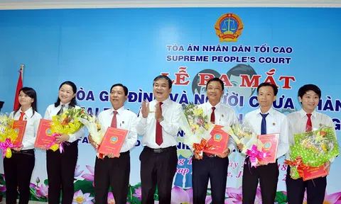 Thiếu tòa án chuyên biệt cho trẻ em và người chưa thành niên