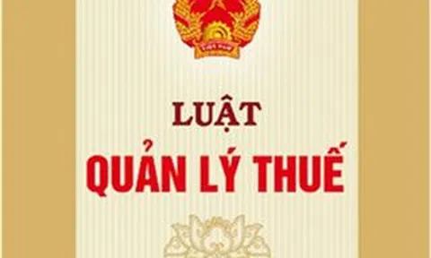 2019:  Những Dự Luật kinh tế quan trọng nào sẽ được sửa đổi?
