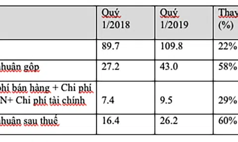 TNS Holding đạt doanh thu Quý I 109 tỷ đồng