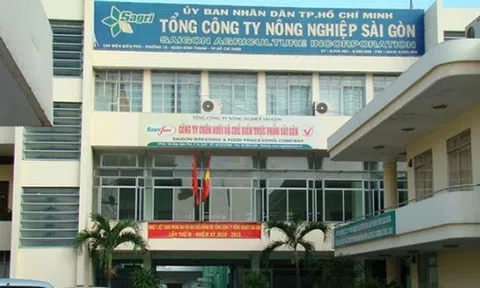 Tổng giám đốc SAGRI ký khống gần 20 tỷ đồng, liên tục vay hàng trăm tỷ để... gửi ngân hàng