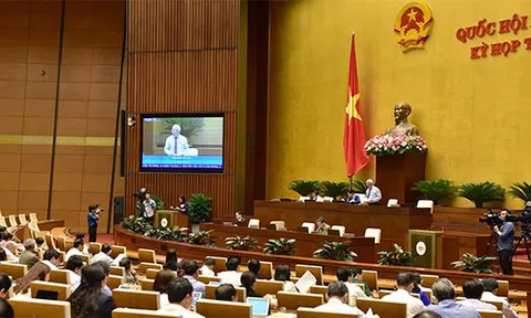 Quốc hội thảo luận Luật Phòng, chống tác hại của rượu, bia và Luật Kiểm toán nhà nước