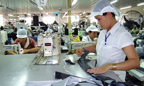 Quỹ Phát triển doanh nghiệp nhỏ và vừa: Điều kiện vay, tài trợ vốn như thế nào?
