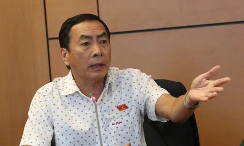 Cử tri kiến nghị tử hình bằng lá ngón, ĐBQH: Tiết kiệm, nhưng cần nghiên cứu thêm