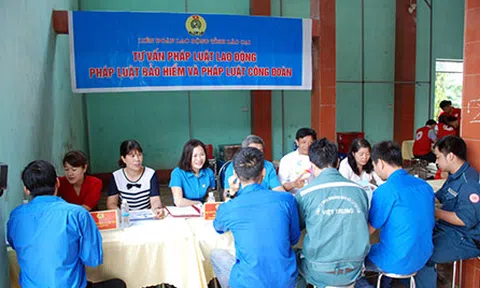 Tổng Liên đoàn Lao động Việt Nam: Xây dựng mạng lưới tư vấn và trợ giúp pháp lý về BHXH, BHYT, BHTN để bảo vệ quyền lợi cho NLĐ