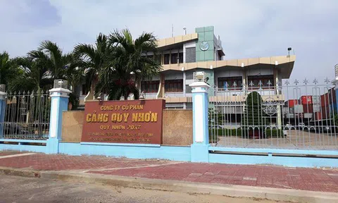 Vụ Cảng Quy Nhơn và đại án AVG dưới lăng kính Luật sư