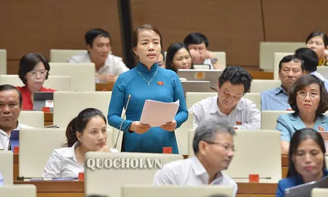 Ban hành nghị định, quy định chi tiết thi hành luật: Cần cơ chế để Quốc hội giám sát