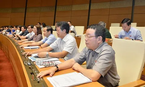Nhiều hành vi bị cấm trong quản lý thuế