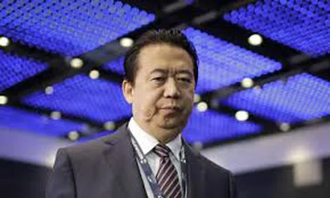 Cựu Chủ tịch Interpol nhận tội