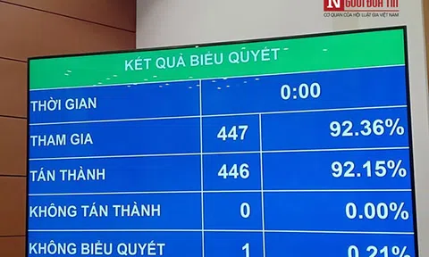 Quốc hội thông qua Nghị quyết giám sát chuyên đề phòng, chống xâm hại trẻ em