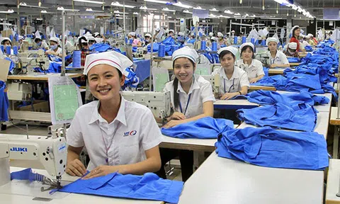 Bảo hiểm xã hội Việt Nam: Tăng cường thanh tra chuyên ngành, giảm nợ BHXH để giải quyết chế độ kịp thời
