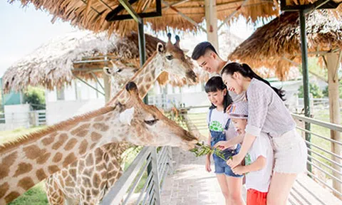 Tổ ấm của hơn 2000 động vật hoang dã ở vườn thú lớn nhất Bắc Trung Bộ