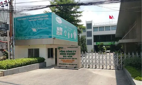 Vụ cựu Tổng giám đốc SAGRI bị bắt: Trung Thủy Group thâu tóm đất vàng SAGRI như thế nào?