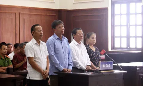 Xử phúc thẩm vụ án buôn lậu gỗ trắc: Tang vật vụ án đã bị bán, căn cứ vào đâu để làm rõ?