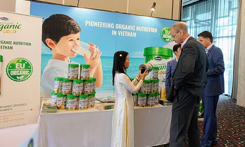 Top 50 ASIA300 – Bảng xếp hạng các doanh nghiệp quyền lực nhất Châu Á