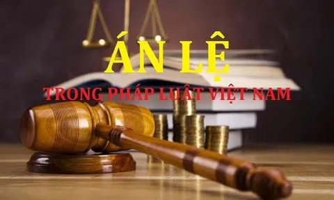 Án lệ được áp dụng sau 30 ngày thay vì 45 ngày