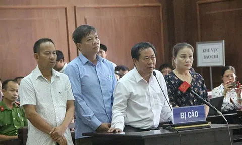 Xử vụ buôn lậu gỗ có liên quan đến cựu tướng Phan Văn Vĩnh