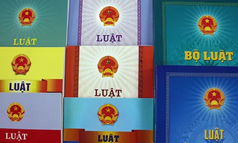 Thủ tướng phân công soạn thảo 14 dự án luật, pháp lệnh