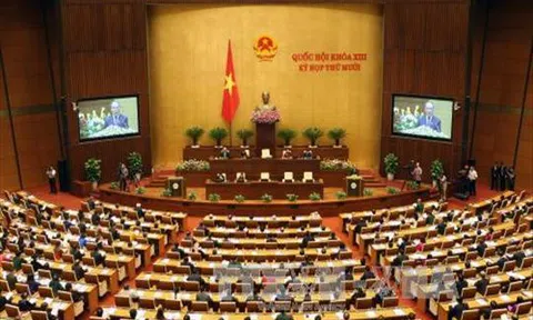 Phân công nhiệm vụ và tiến độ thực hiện Nghị quyết của Quốc hội về xây dựng luật, pháp lệnh
