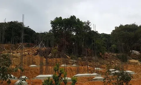 Thanh tra Chính phủ làm việc với lãnh đạo TP.Đà Nẵng về sai phạm đất đai