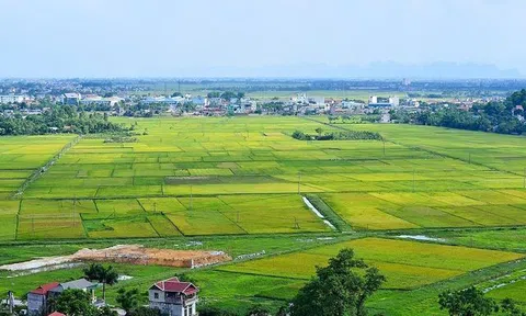 Trao quyền quyết định giá đất cho UBND cấp tỉnh:  Những vấn đề phát sinh từ thực tế cần nghiên cứu lại