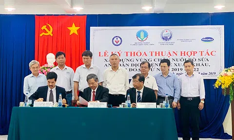 Vinamilk phối hợp với cục thú y xây dựng vùng chăn nuôi bò sữa an toàn dịch bệnh được Quốc tế công nhận