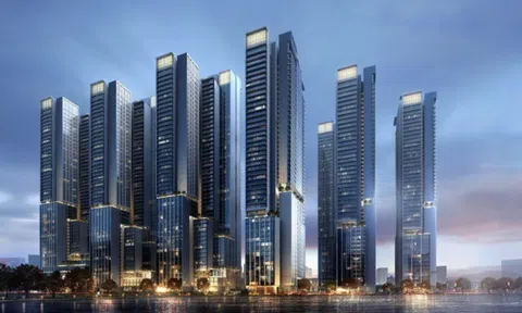 Trưởng Ban pháp chế Vingroup xin rút khỏi nhóm chuyên gia sửa Luật Đất đai