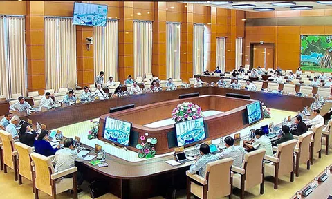 'Nên xem xét cho Kiểm toán Nhà nước được quyền xử phạt vi phạm hành chính theo Luật'
