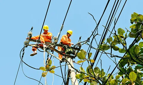 Tổng công ty Điện lực miền Bắc (EVNNPC):  Tình hình hoạt động, kinh doanh tháng 7  và mục tiêu, nhiệm vụ tháng 8 năm 2019