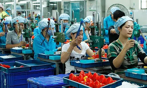 Doanh nghiệp nhỏ sẽ lớn nhờ ưu đãi thuế