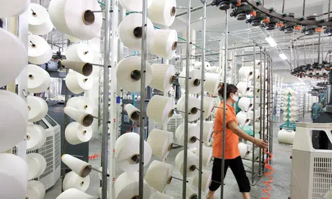 Lơ mơ, doanh nghiệp Việt liên tiếp dính kiện