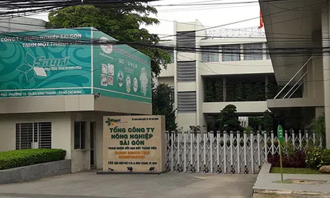 Thất thoát tài sản công: Giải pháp cấp bách nào để ngăn chặn?
