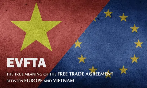 PGS.TS. Trần Việt Dũng (Trưởng khoa Luật Quốc tế - ĐH Luật TP.HCM): Củng cố khung pháp lý - giải pháp quan trọng nhất để giải quyết  những phát sinh khi thực thi EVFTA