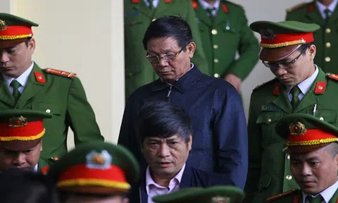 Vụ buôn lậu gỗ trắc: Khởi tố ông Phan Văn Vĩnh