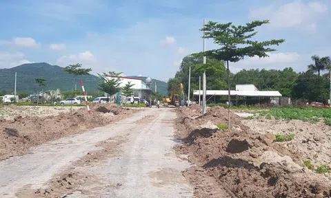Chủ tịch Alibaba có dấu hiệu chủ mưu lừa đảo chiếm đoạt của gần 7.000 người
