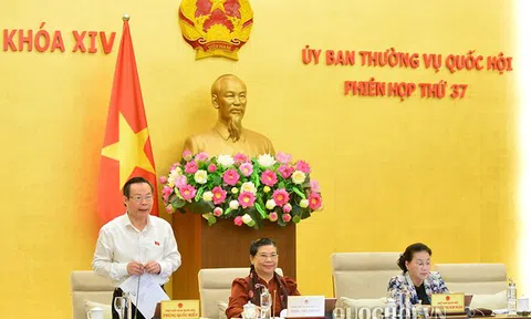 Sửa Luật Đầu tư, Luật Doanh nghiệp: Chưa đạt yêu cầu về chất lượng