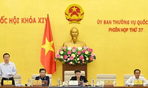 Luật hóa quy định phát hành trái phiếu riêng lẻ của doanh nghiệp không phải công ty đại chúng?