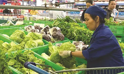 Dự thảo Bộ luật Lao động: Đừng quên người lao động và doanh nghiệp chung một thuyền