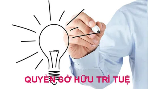 Vì sao việc sửa đổi Luật Sở hữu trí tuệ trở thành vấn đề cấp thiết?