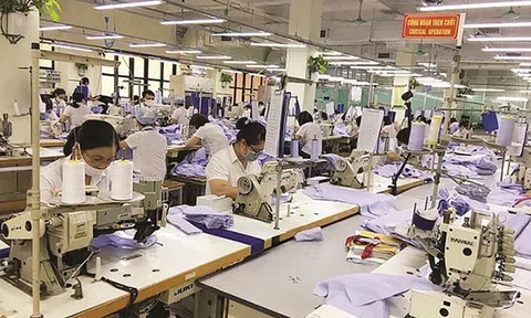 Doanh nghiệp thờ ơ với CPTPP, Bộ Công Thương gửi Thủ tướng loạt kiến nghị